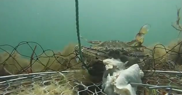 VIDEO: Day in the life …